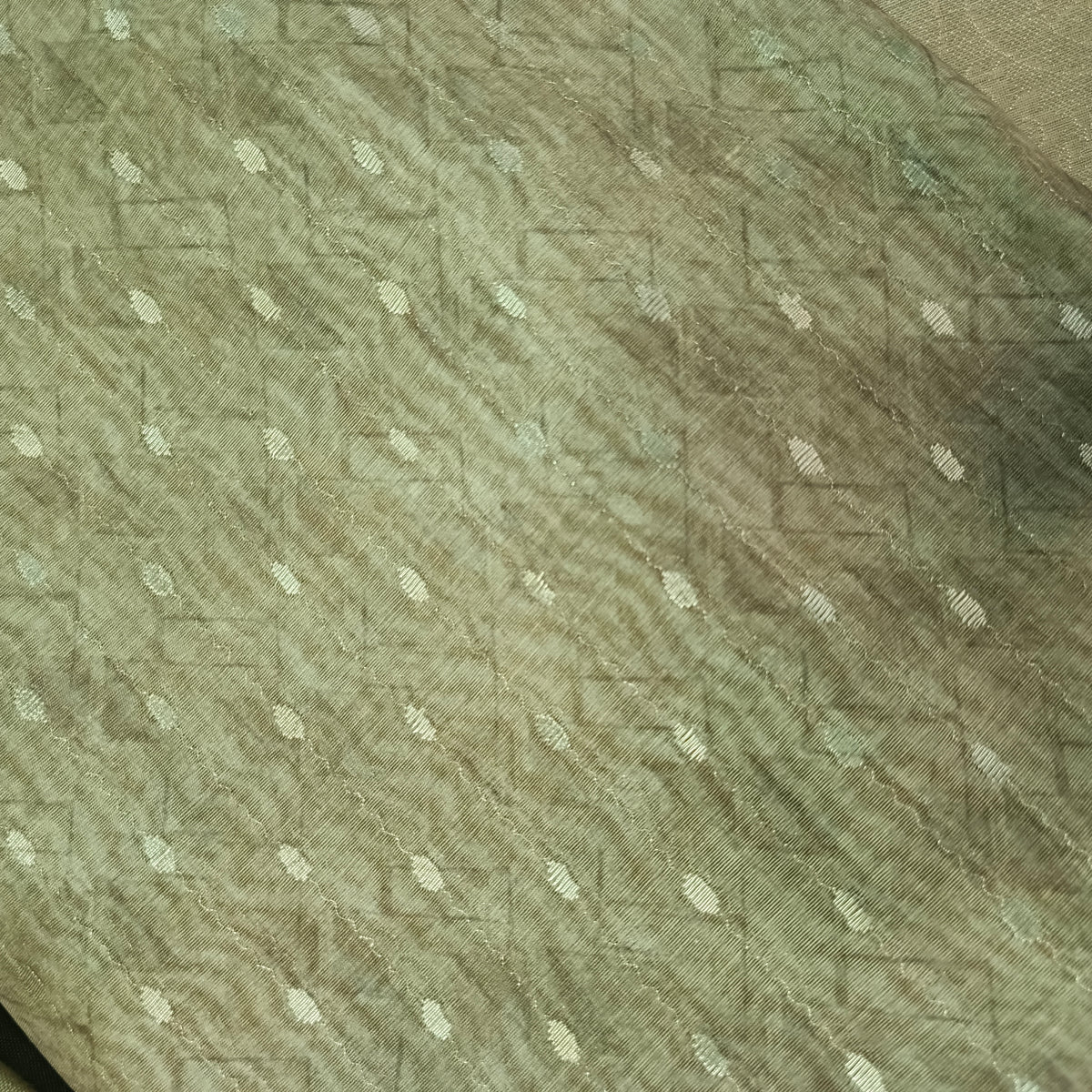 Green Chanderi Zari weave digital top banarasi dupatta PA25031