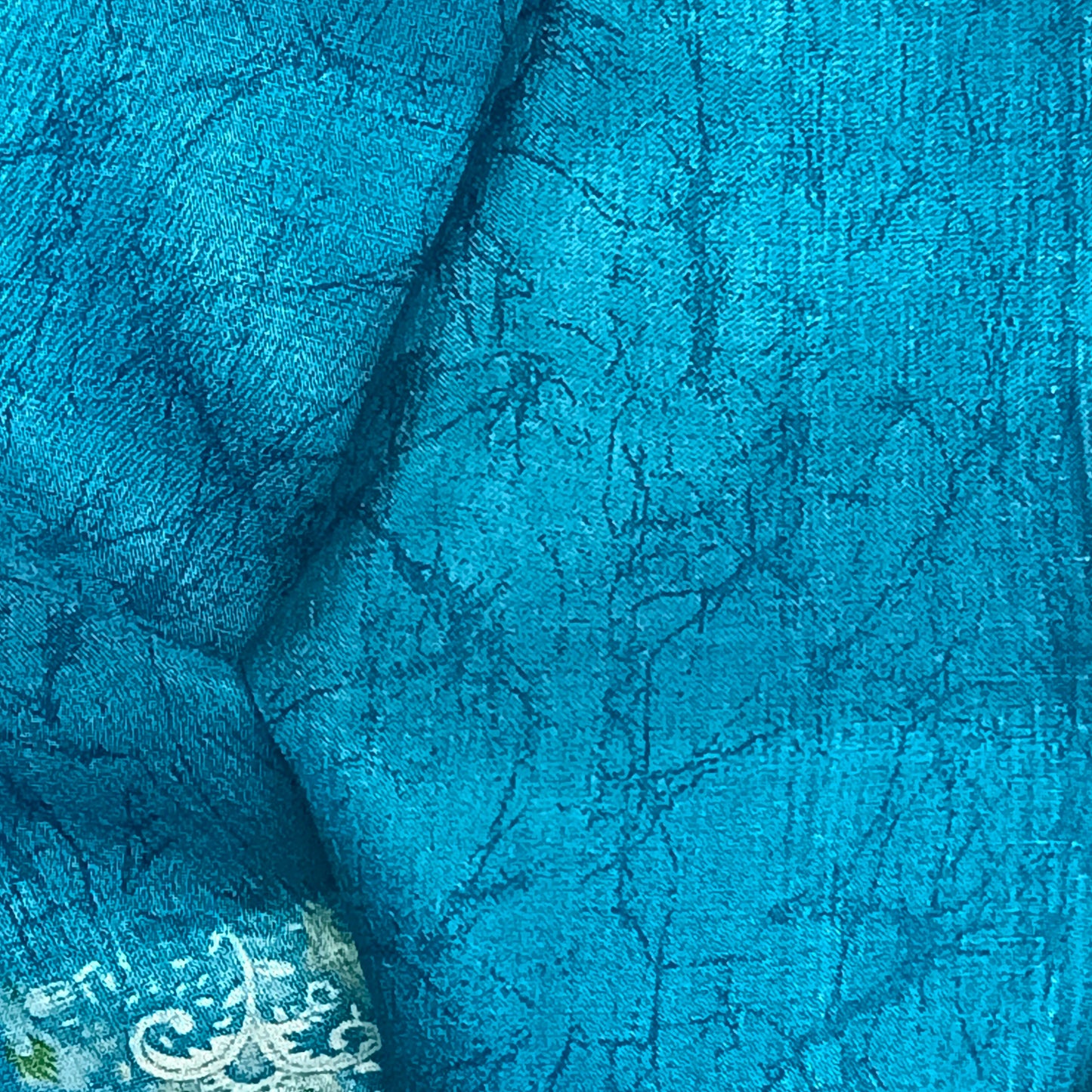 Blue Vriddhi silk vol 4 Paisley vegan tussar crepe digital saree SA25648