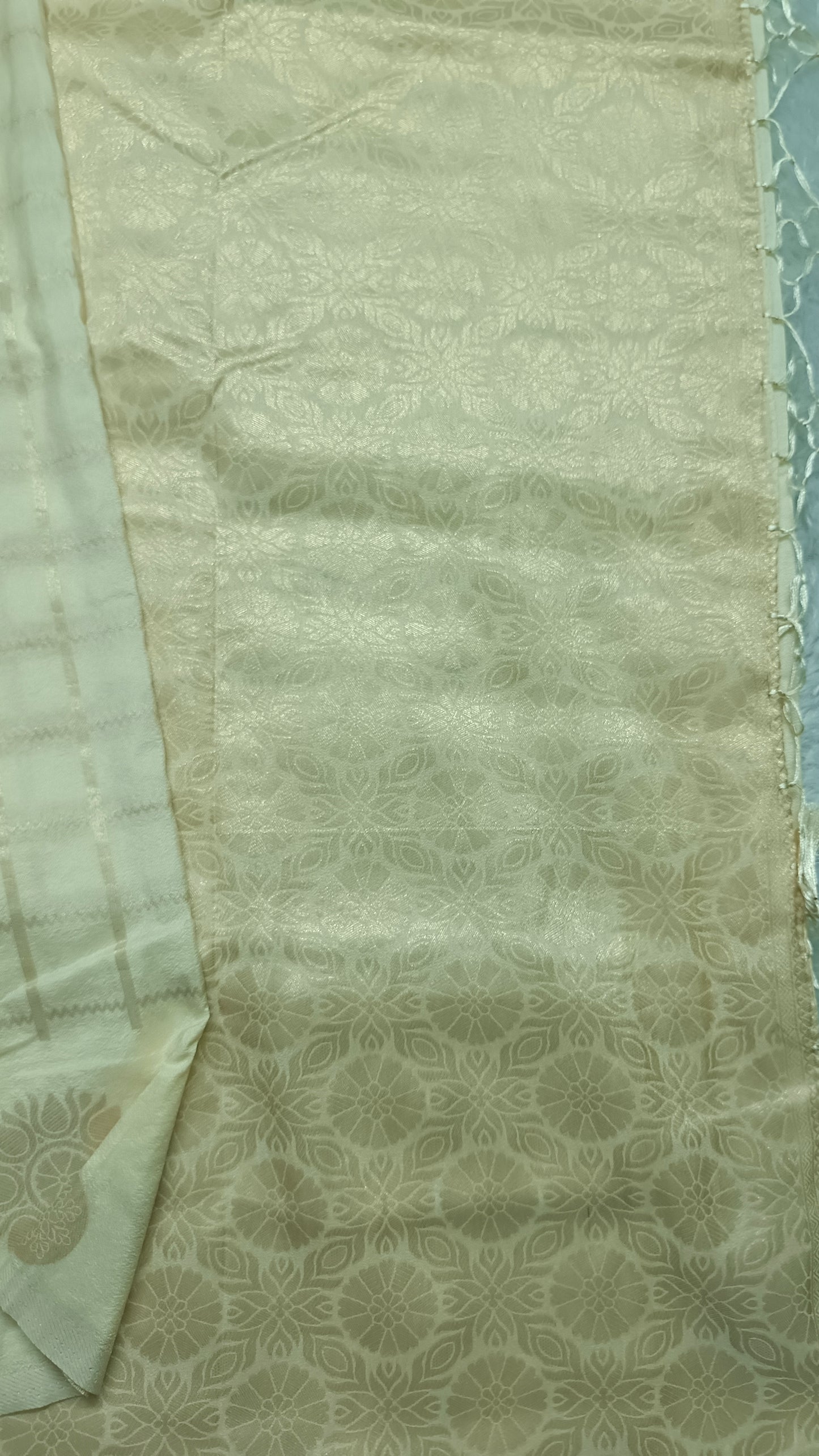 Off white Sudar Chakkram vegan kaddi georgette saree MA25094