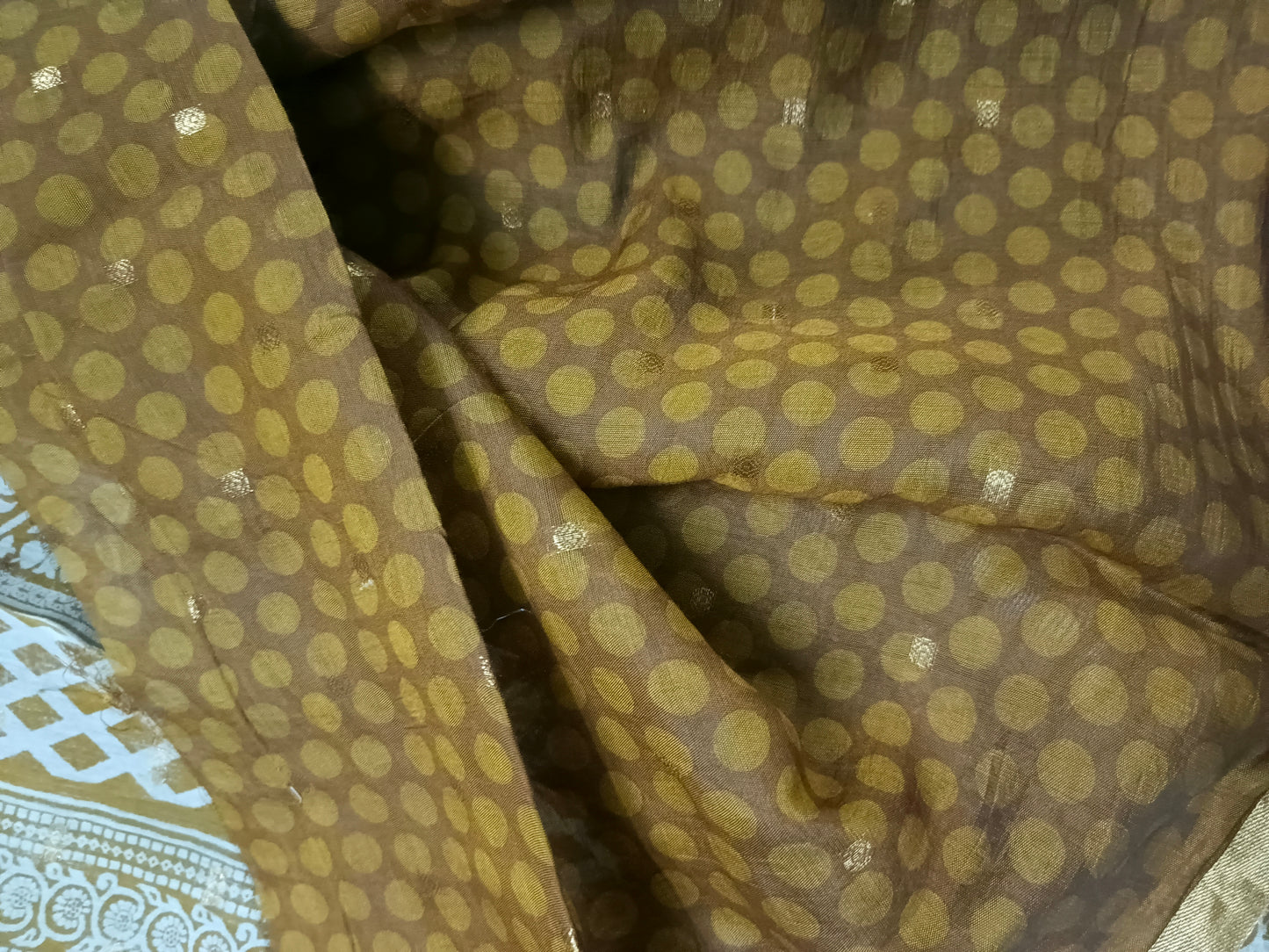 Green Bamboo zari Vegan Chanderi cotton saree HA25461